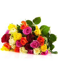 Mixed Color Roses